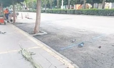 Melih ABİ: Palmiye dalları ile sokaklar temizlenmez