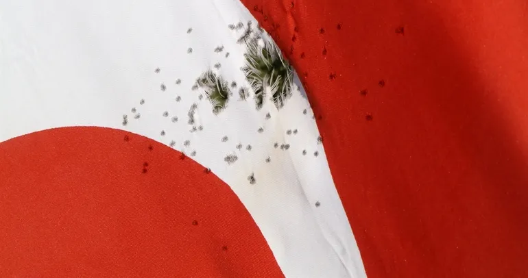 Burdur’da Türk bayrağına çirkin saldırı!