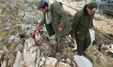 Kaçak avcı böyle yakalandı!