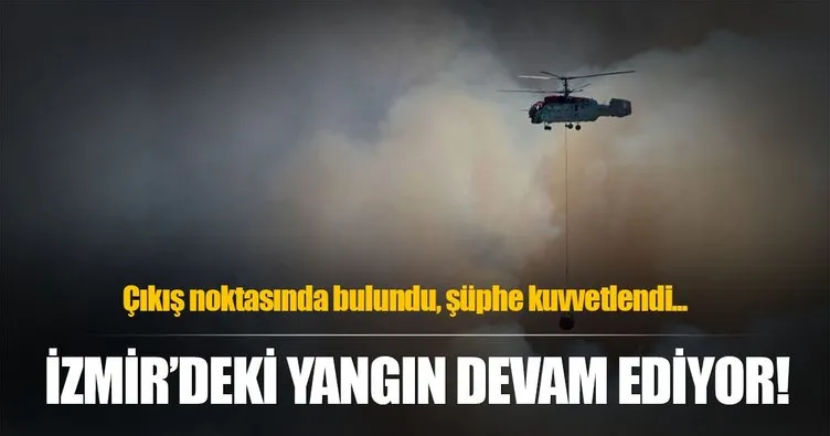 İzmir’deki makilik ve orman yangını devam ediyor