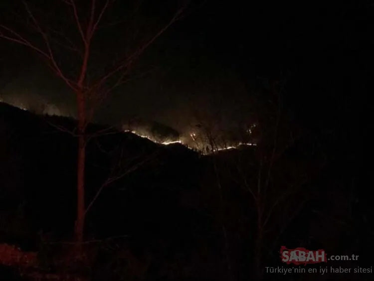 Karadeniz'de 26 noktada orman yangını: 5 ev kül oldu, tarım arazileri zarar gördü