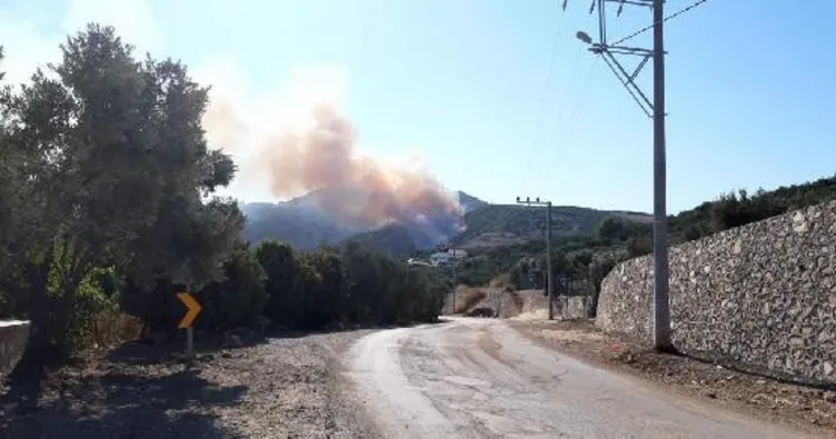 Mudanya’da çıkan orman yangını kontrol altına alındı