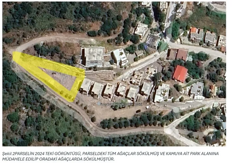 Bakanlık, Suavi’nin arsasında kesilen ağaçlar ile ilgili inceleme başlattı! Bodrum Belediyesi’ne uyarı yazısı gönderildi