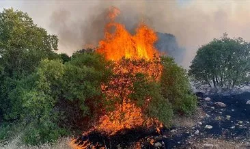 Gaziantep’teki orman yangını kontrol altına alındı