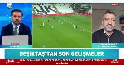 Beşiktaş’ın gündemindeki kaleci İbrahim Sehic