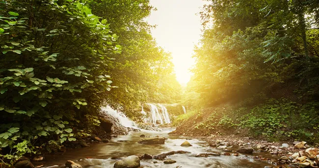 Rüyada Derede Yürümek Rüyada Derede Yürümek