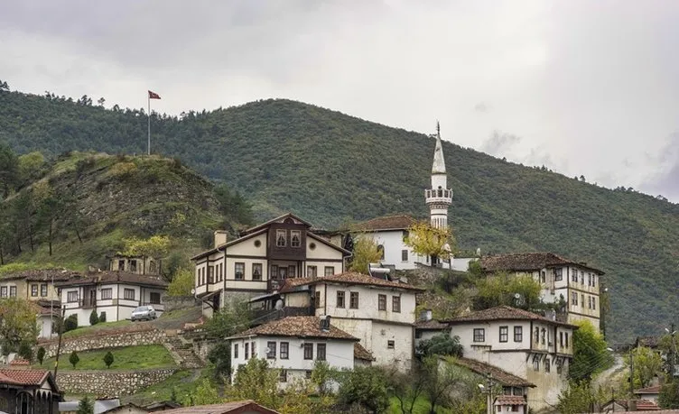 Türkiyenin kanser haritası: En çok bu ilde görülüyor! Ölüm oranın en yüksek olduğu şehir...
