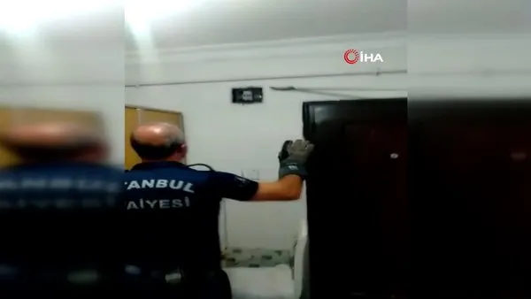 İstanbul Avcılar’da evde yılan paniği kamerada!