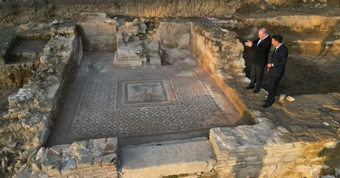 Türkiye’de eşi benzeri görülmemiş keşif, İskender portresinden sonra aslanlı mozaik bulundu