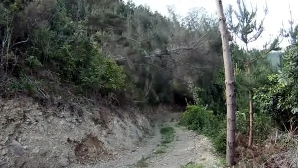 Ağaçtan yaptığı şeye bakın!