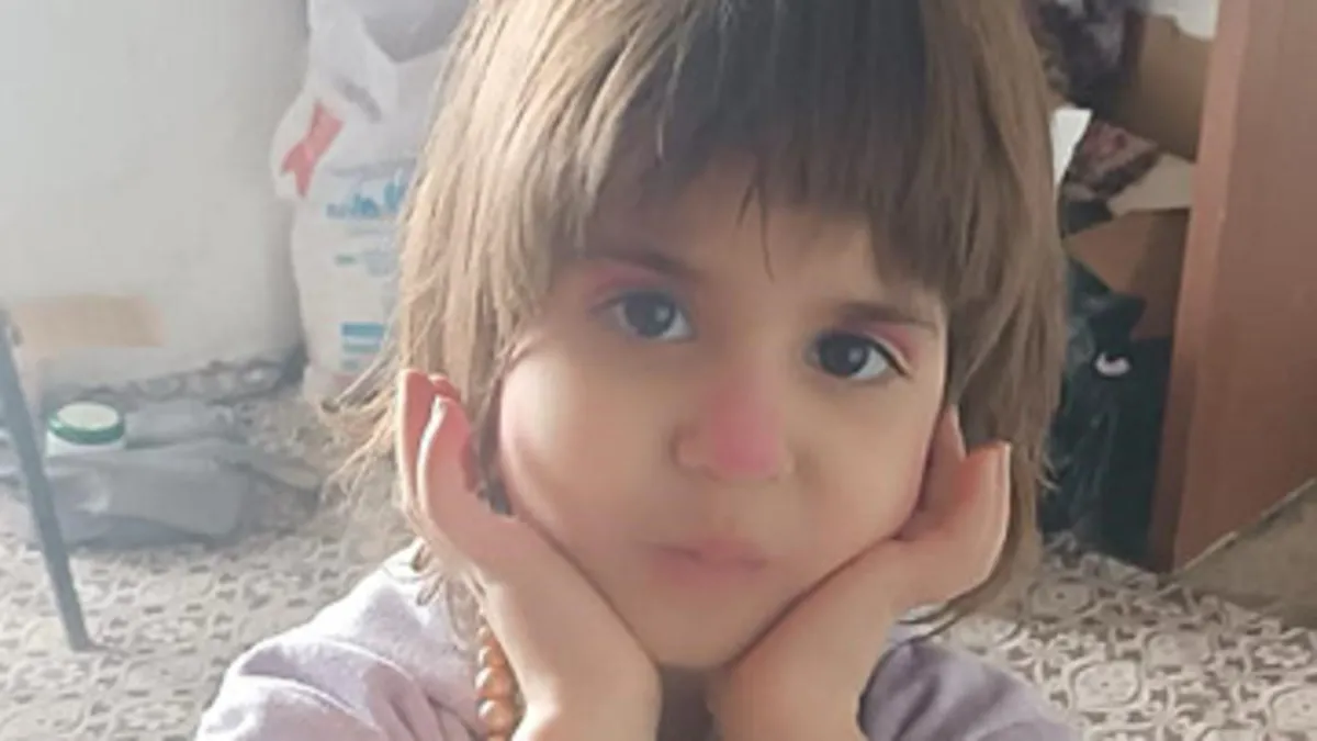 Bitlis’te 5 yaşındaki Rabia kayboldu: Her yerde aranıyor! Bitlis’te 5 yaşındaki Rabia kayboldu: Her yerde aranıyor!