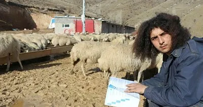 Üniversite mezunu genç, 300 koyuna çobanlık yapıyor