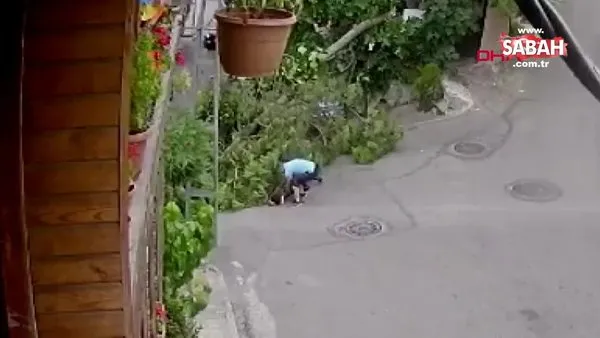 İstanbul Üsküdar'da ağaç bisikletli çocuğun üstüne devrildi | Video