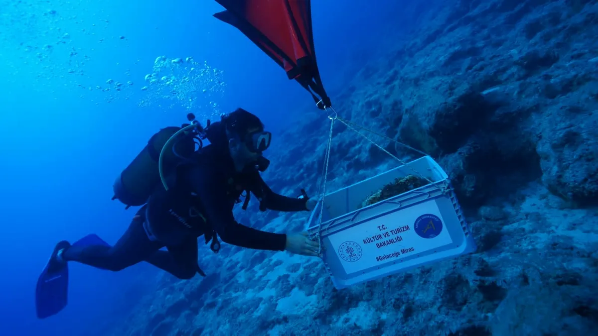 Bakan Ersoy duyurdu! 4.700 yıllık sır çözülüyor: Kekova sularından çıkan dünyanın en eski batığı