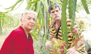 Emekli öğretmen çift tarımda örnek