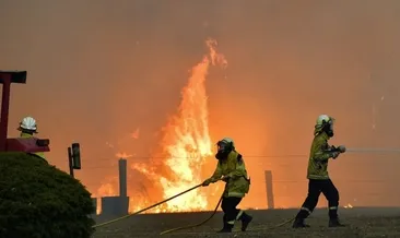 UNESCO listesinde yer alan parkta yangın: Yeni Zelanda’da 1800 hektarlık alan kül oldu
