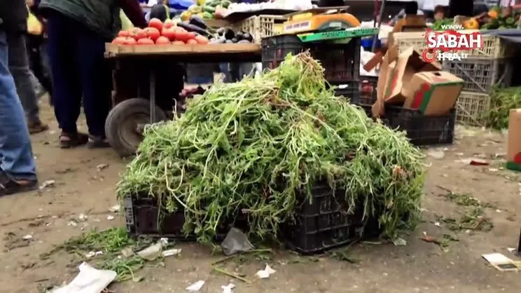 Gazze’de gıda kıtlığı: Yiyecek olarak yabani bitki satılıyor | Video