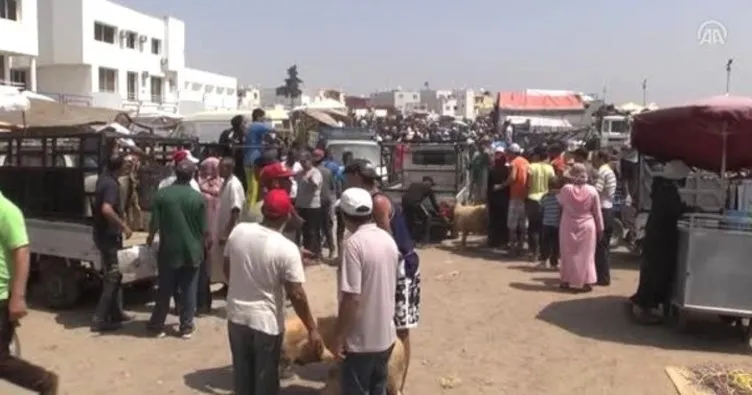 Fas’ta kurban pazarı karıştı, 20 kişi gözaltına alındı