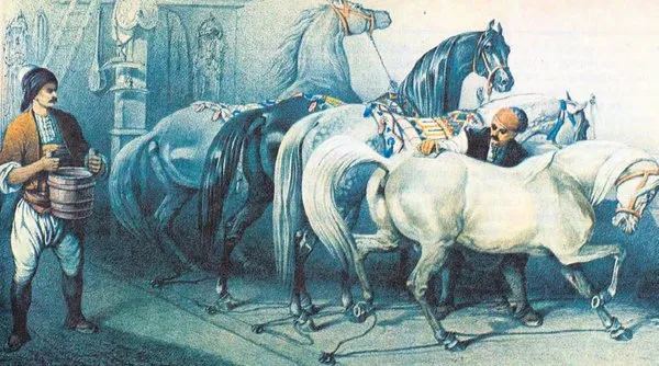 Osmanli Da Hayvanlarin Tatil Hakki Bile Vardi Erhan Afyoncu