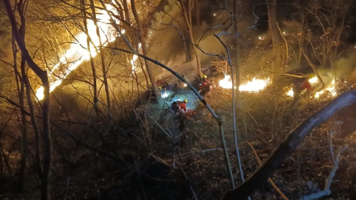 Güney Kore’de orman yangını faciası: 200 futbol sahası büyüklüğünde alan küle döndü