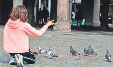 Güvercin besleyene 1000 euro ceza