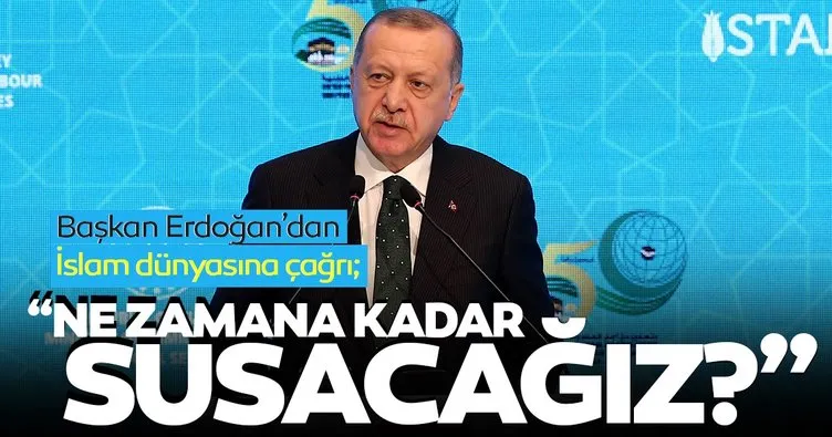 Başkan Erdoğan: Daha ne kadar sessiz kalacağız?