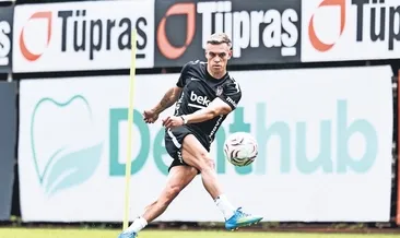 Trossard sahaya indi