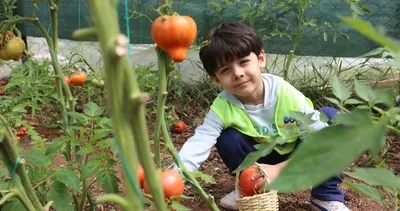 Miniklerin ilk hasadı depremzedelere