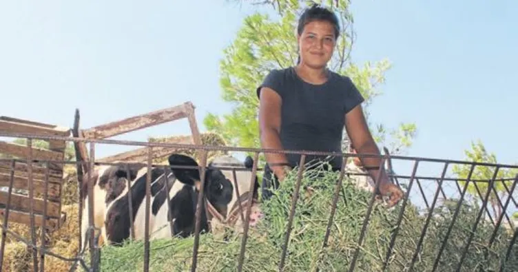 Elektrik ve su olmayan çadırda okuma azmi