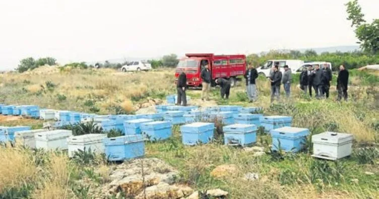 Mersin’de arı kovanı hırsızı yakalandı