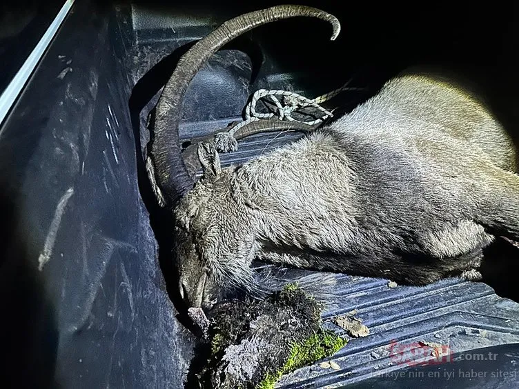 İYİ Partili Karaman’dan büyük skandal: Koruma altında bulunan hayvana... Jandarma ekipleri botla kaçarken yakaladı