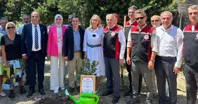 İzmir'de damla sakızı üretimi arttırılacak! Hedef 6 ton #izmir