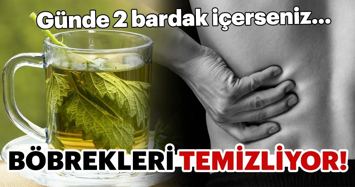 gunde 2 bardak icerseniz bobrekleri temizliyor kadin haberleri