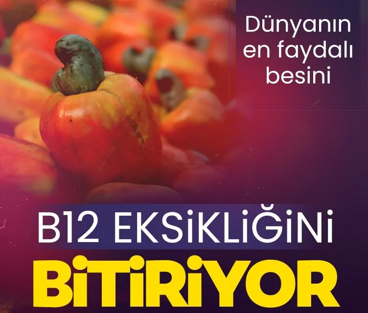 B12 değerini anında normale çeviriyor! B12 deposunu dolduran en etkili besin