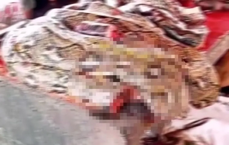 Son dakika haberi: Çinliler koronavirüs salgınına rağmen değişmedi! Yasağa rağmen vahşi hayvan tüketmeye devam ediyorlar