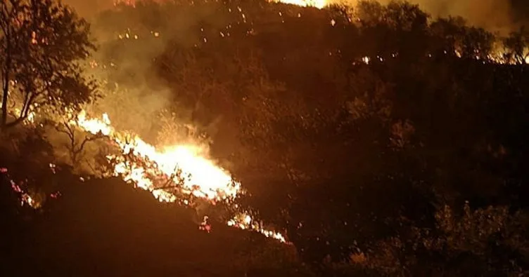 İspanya’da orman yangını!