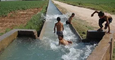 Şanlıurfa'da bunu yapana ceza #sanliurfa