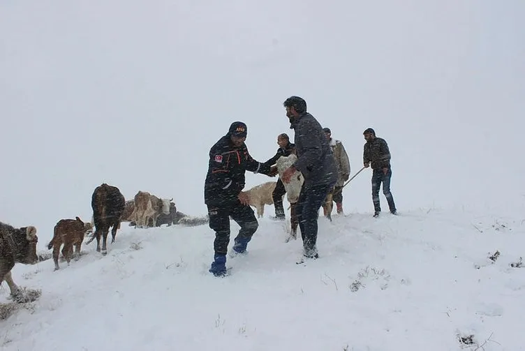 Karda mahsur kalan iki çoban ve sürü kurtarıldı