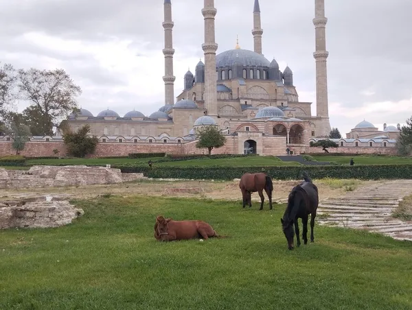 basibos-atlar-selimiye-meydaninda-1792401770305.jpg