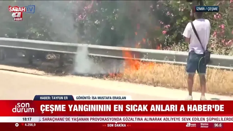 İstanbul Silivri'de orman yangını!