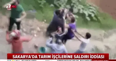 Sakarya’da mevsimlik ’fındık işçilerine saldırı’ yalanına Sakarya Valiliği’nden açıklama | Video