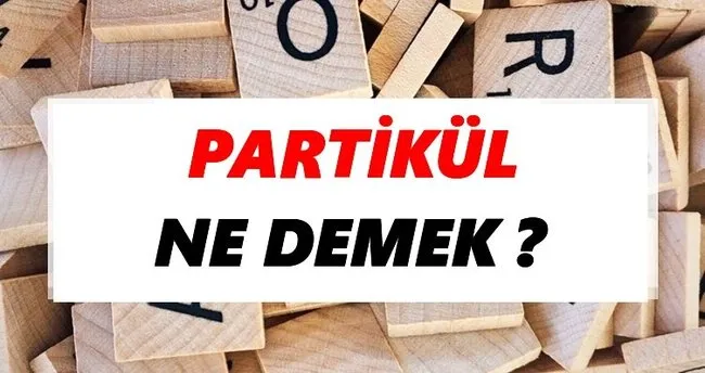 Partikül Ne Demek? TDK’ya Göre Partikül Sözlük Anlamı Nedir?