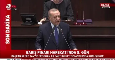 Cumhurbaşkanı Erdoğan’dan ’Türk Konseyi’ açıklaması
