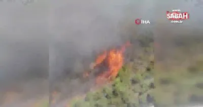 Seferihisar’daki iki orman yangınında 3 ev, 12 araç ve 1 bekçi kulübesi yandı | Video