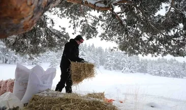 Bakan Pakdemirli’den yaban hayvanlarına yem!