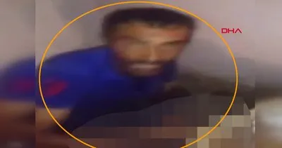 Son dakika haberi... Adana’da vahşet! Kedileri işkence yaparak öldüren cani kamerada | Video