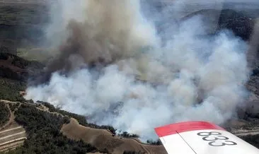 Son dakika: Adana’da orman yangını! Karadan ve havadan müdahale