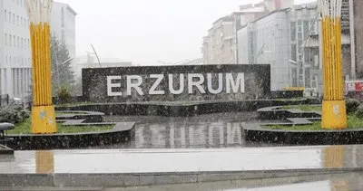 Erzurum'da kar yağışı etkili oldu #erzurum