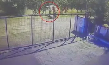 “Taklacı Güvercin” hırsızları... 18 taklacı güvercini çaldılar! #istanbul “Taklacı Güvercin” hırsızları... 18 taklacı güvercini çaldılar! #istanbul
