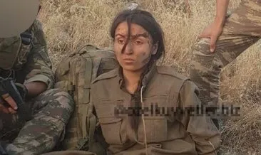 Son Dakika: Bitlis şehidinin katili kadın terörist böyle yakalandı